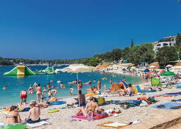 In With Wifi * Šišan