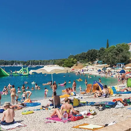 In With Wifi * Šišan